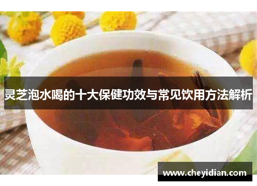 灵芝泡水喝的十大保健功效与常见饮用方法解析 灵芝泡水喝的十大保健功效与常见饮用方法解析